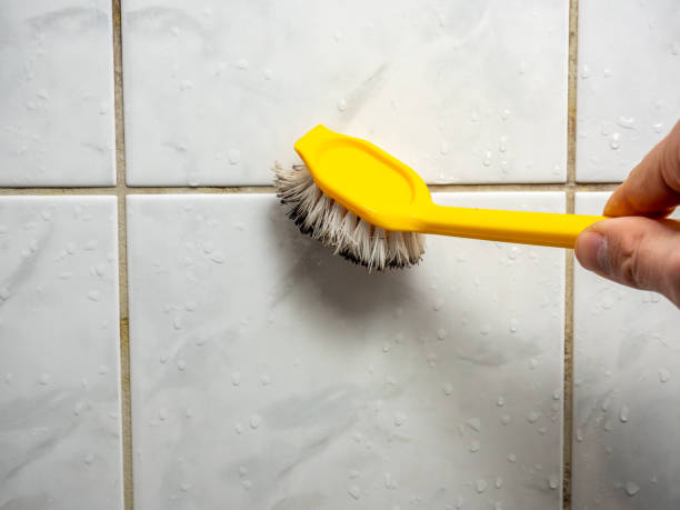 Best Residential Mold Removal  in Pomeroy, WA