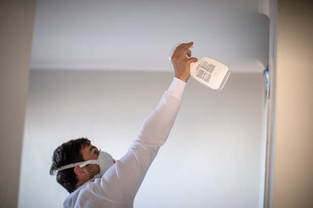 Best Crawl Space Mold Removal  in Pomeroy, WA